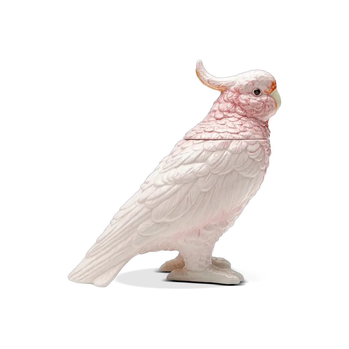 Exotic Bird Deco Jar, 23Cm
