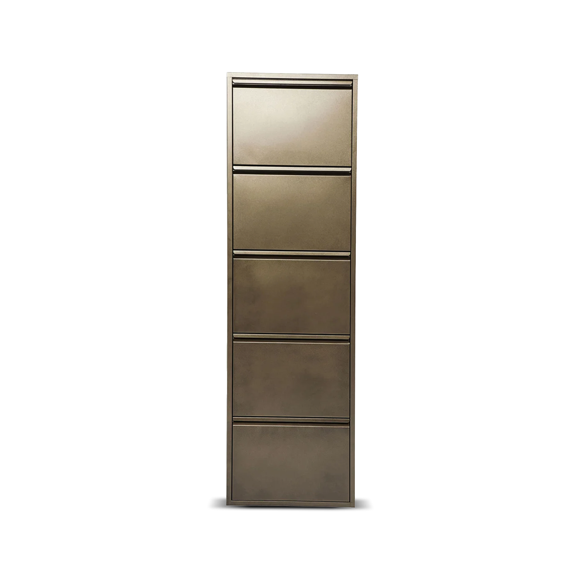 Caruso Shoe Container 5, Bronze (Mo) Gold