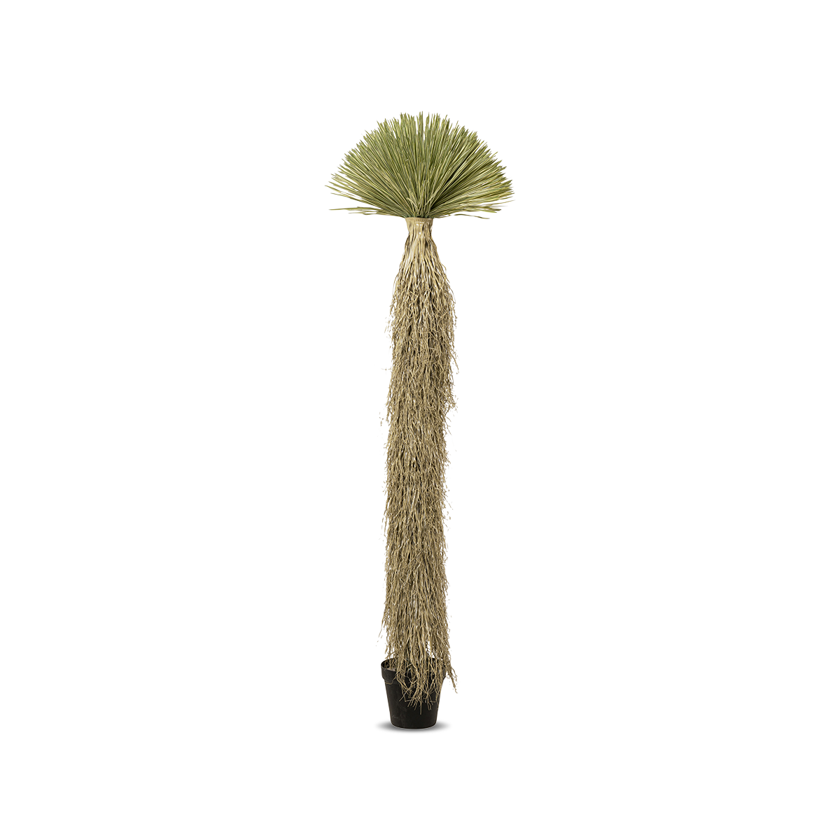 Yucca Rostrata Deco Plant - Green